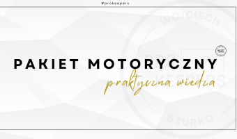 kompletny bramkarz (30)