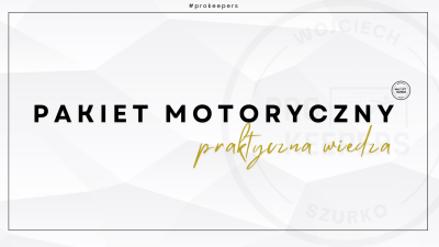 kompletny bramkarz (30)